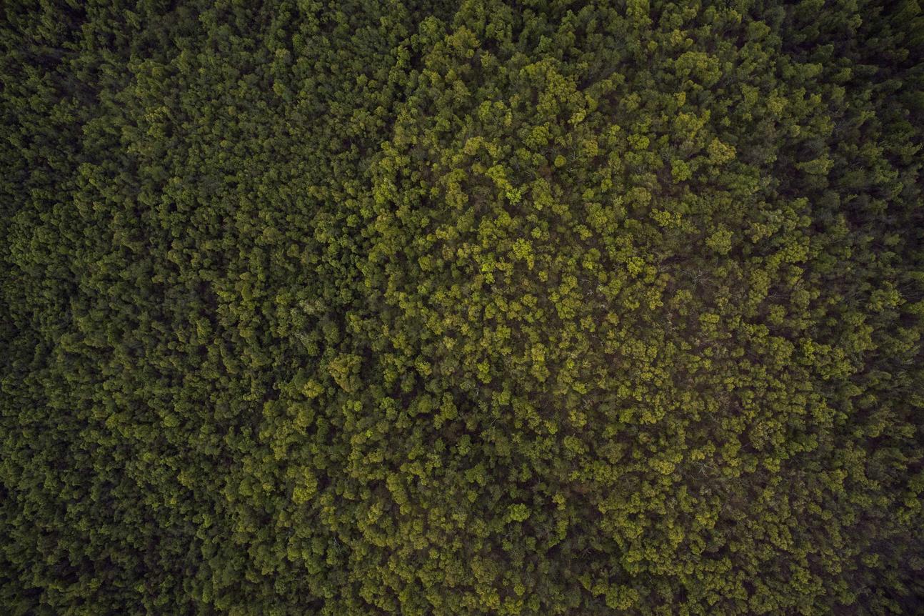 Et sed exercitationem repellat explicabo nulla et et numquam saepe cupiditate beatae quo