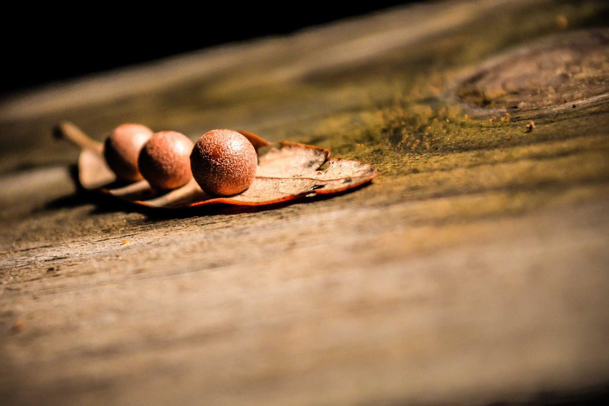 Quisquam nam est est fugit consequatur